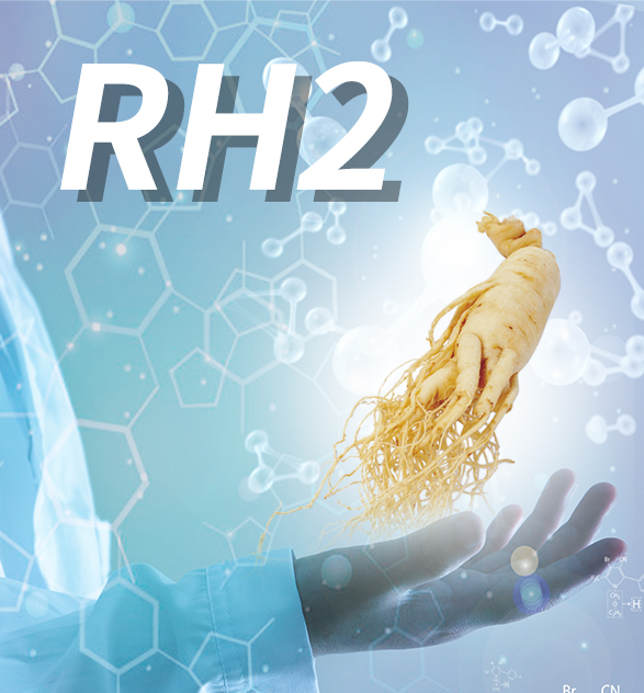 人参皂苷单体rh2